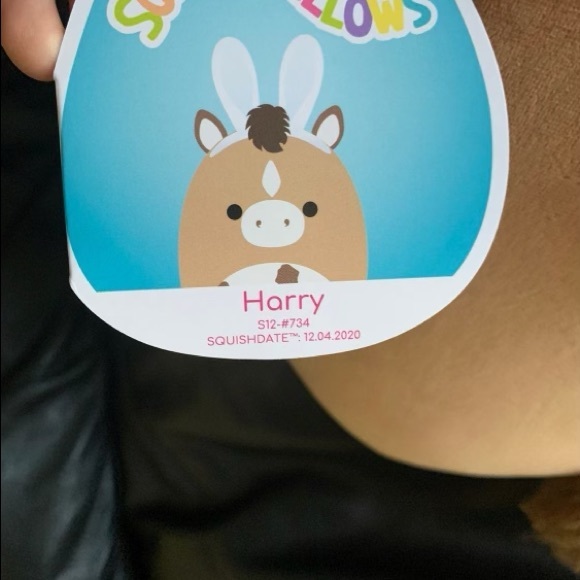 squishmallow horse - Picture 3 of 4